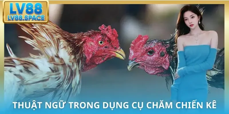 thuat-ngu-da-ga-dung-cu-nuoi